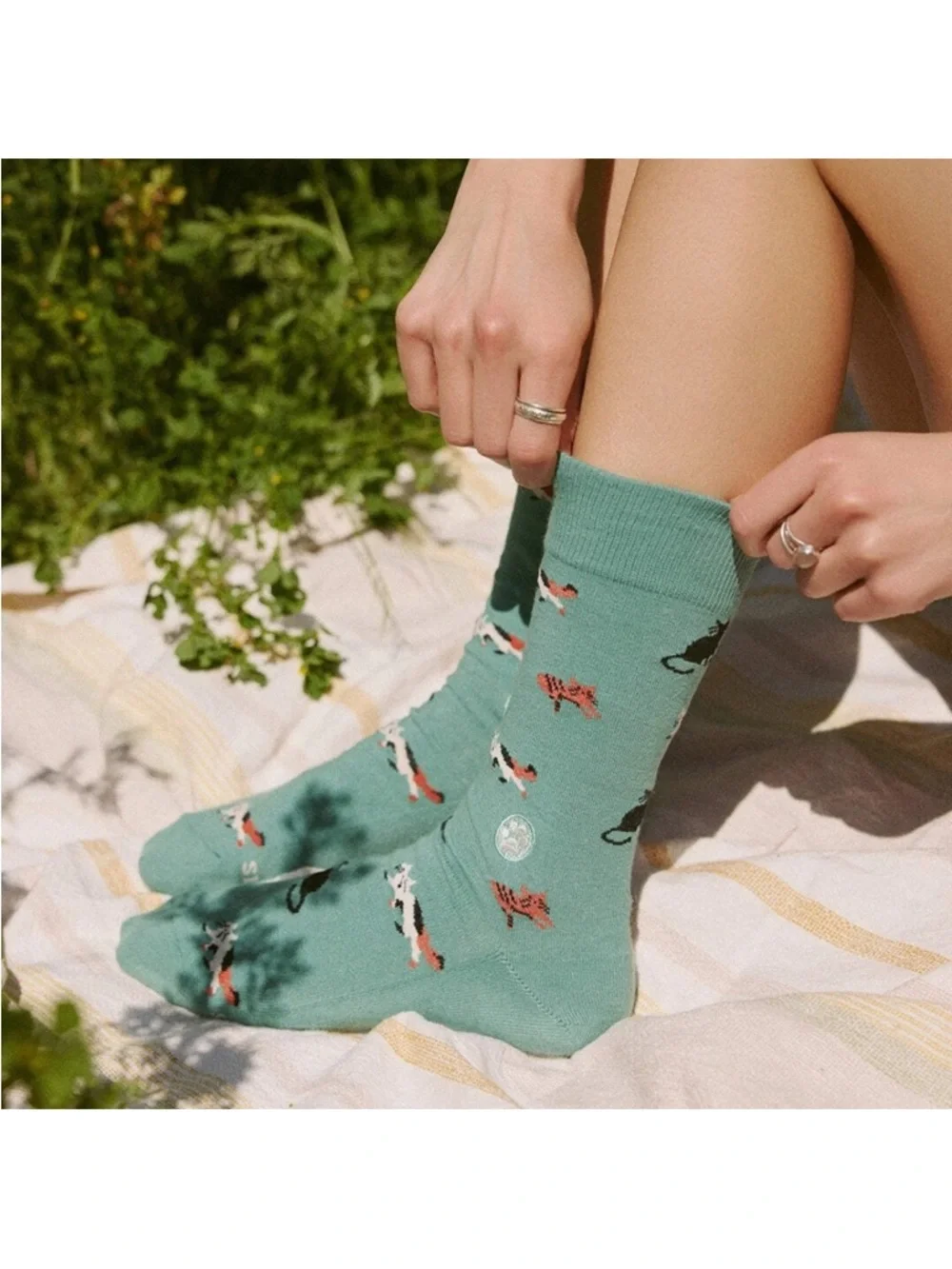 NEW Socks that Save Cats